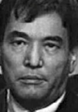 Идрис Ногайбаев