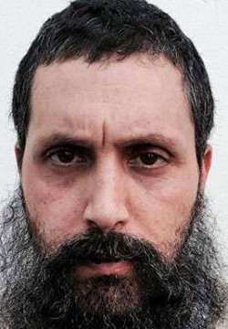 Рой Авигдори