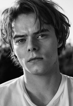 Чарли Хитон