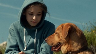 Фильмы про животных