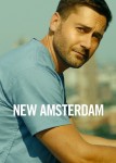 Новый Амстердам 2 сезон