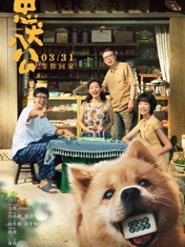 Хатико. Невероятная история