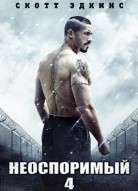 Неоспоримый 4