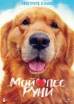 Мой пёс Руни