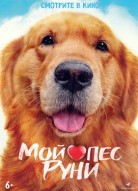 Мой пёс Руни