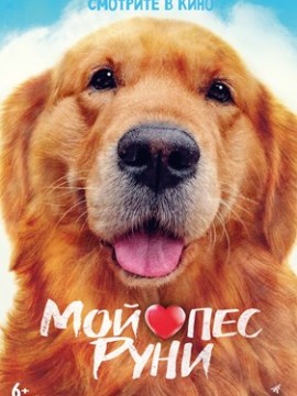 Мой пёс Руни