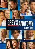 Анатомия страсти 8 сезон