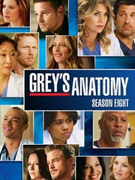 Анатомия страсти 8 сезон