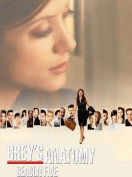 Анатомия страсти 5 сезон