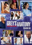 Анатомия страсти 6 сезон