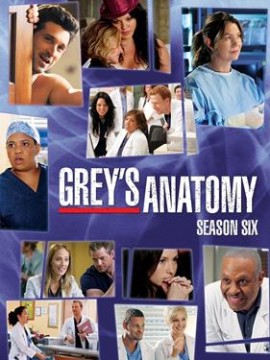 Анатомия страсти 6 сезон