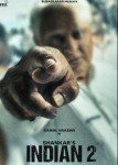 Индиец 2