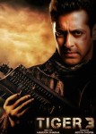 Тигр 3