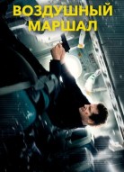 Воздушный маршал