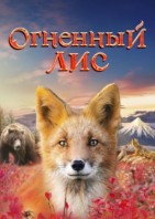 Огненный лис