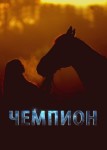 Мой любимый чемпион