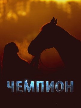 Мой любимый чемпион
