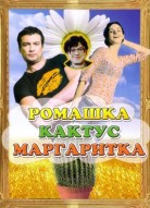 Ромашка, кактус, маргаритка