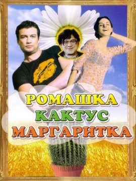 Ромашка, кактус, маргаритка