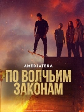 По волчьим законам 6 сезон