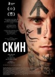 Скин