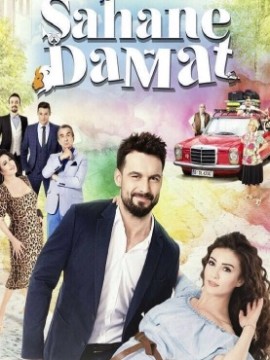 Замечательный зять