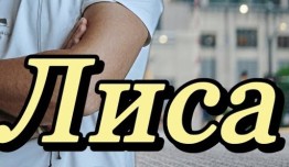 Лиса (сериал 2024) 1 серия