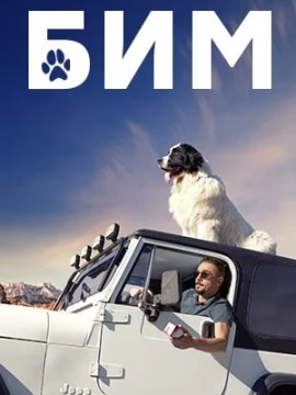 БиМ
