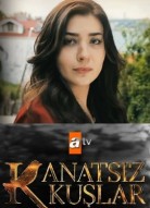 Птицы без крыльев