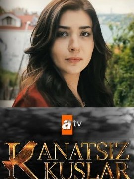 Птицы без крыльев