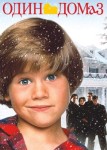 Один дома 3