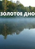 Золотое дно