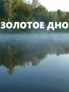 Золотое дно