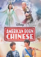 Американец китайского происхождения