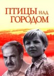 Птицы над городом