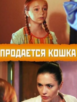 Продается кошка