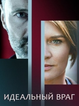 Идеальный враг