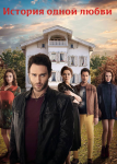 История одной любви