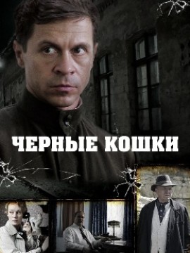 Черные кошки