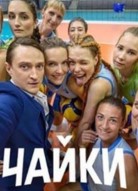 Чайки 2 сезон