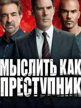 Мыслить как преступник 10 сезон
