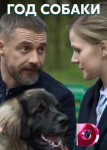 Год собаки