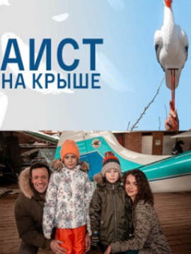 Аист на крыше