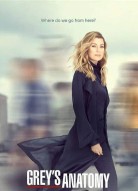 Анатомия страсти 16 сезон