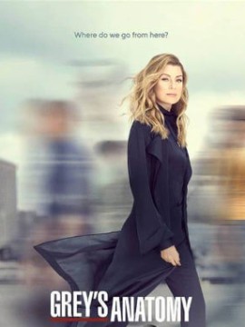 Анатомия страсти 16 сезон