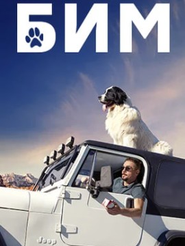 БиМ 3 сезон