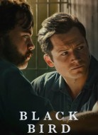 Черная птица