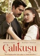 Королёк птичка певчая