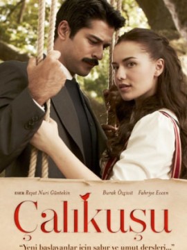 Королёк птичка певчая