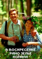 В воскресенье рано зелье копала